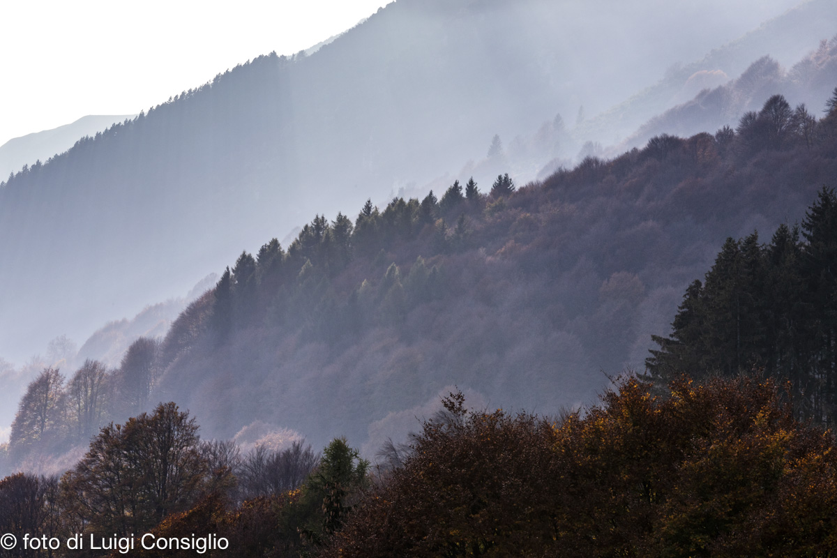 11_novembre_054_Autunno_Novezza_MG_1700-8