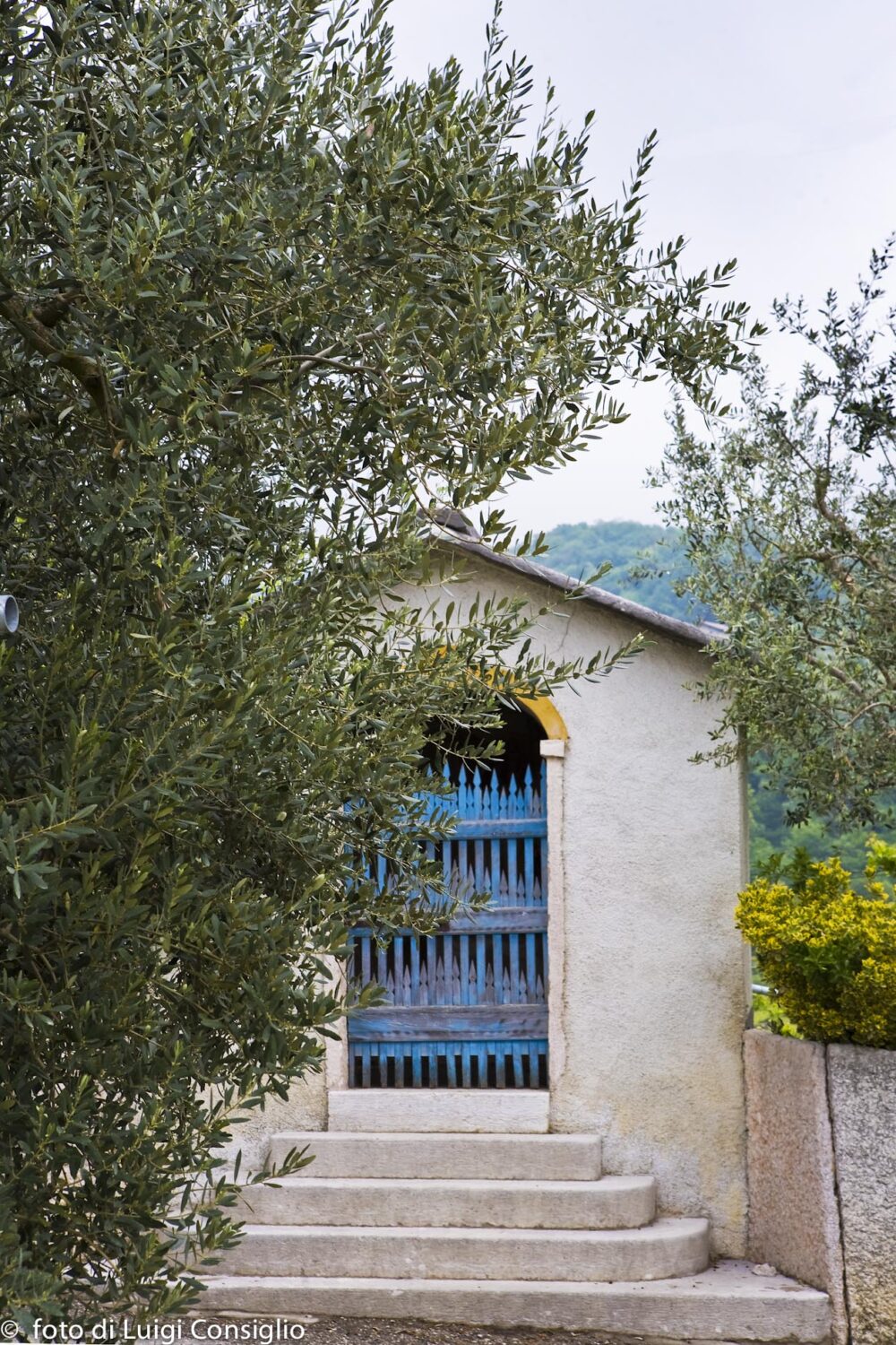 Valpolicella 2017; Loc. Torbe