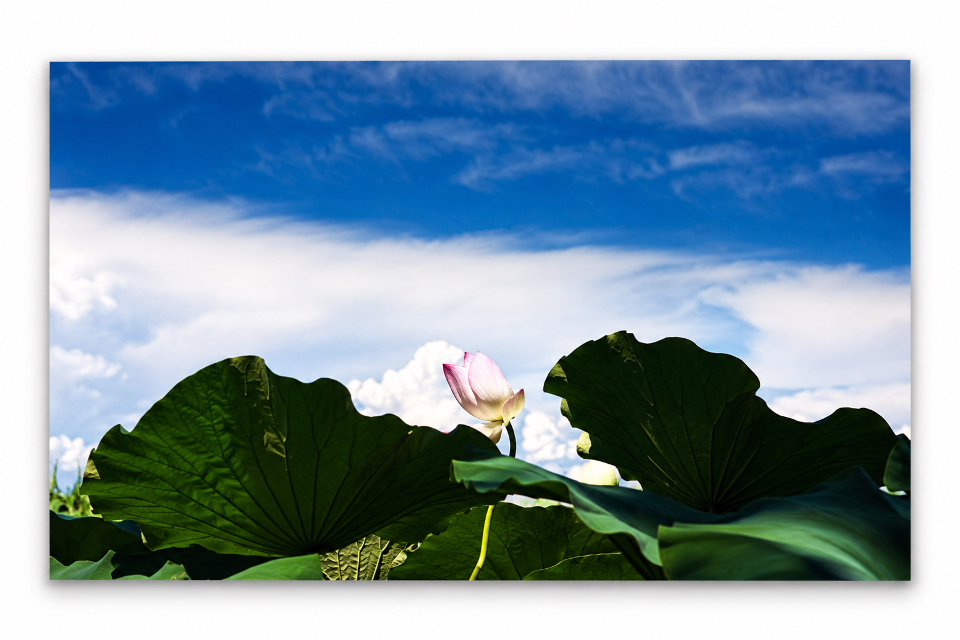 Immagine ChatGPT 27 set 2026, 22_32_03