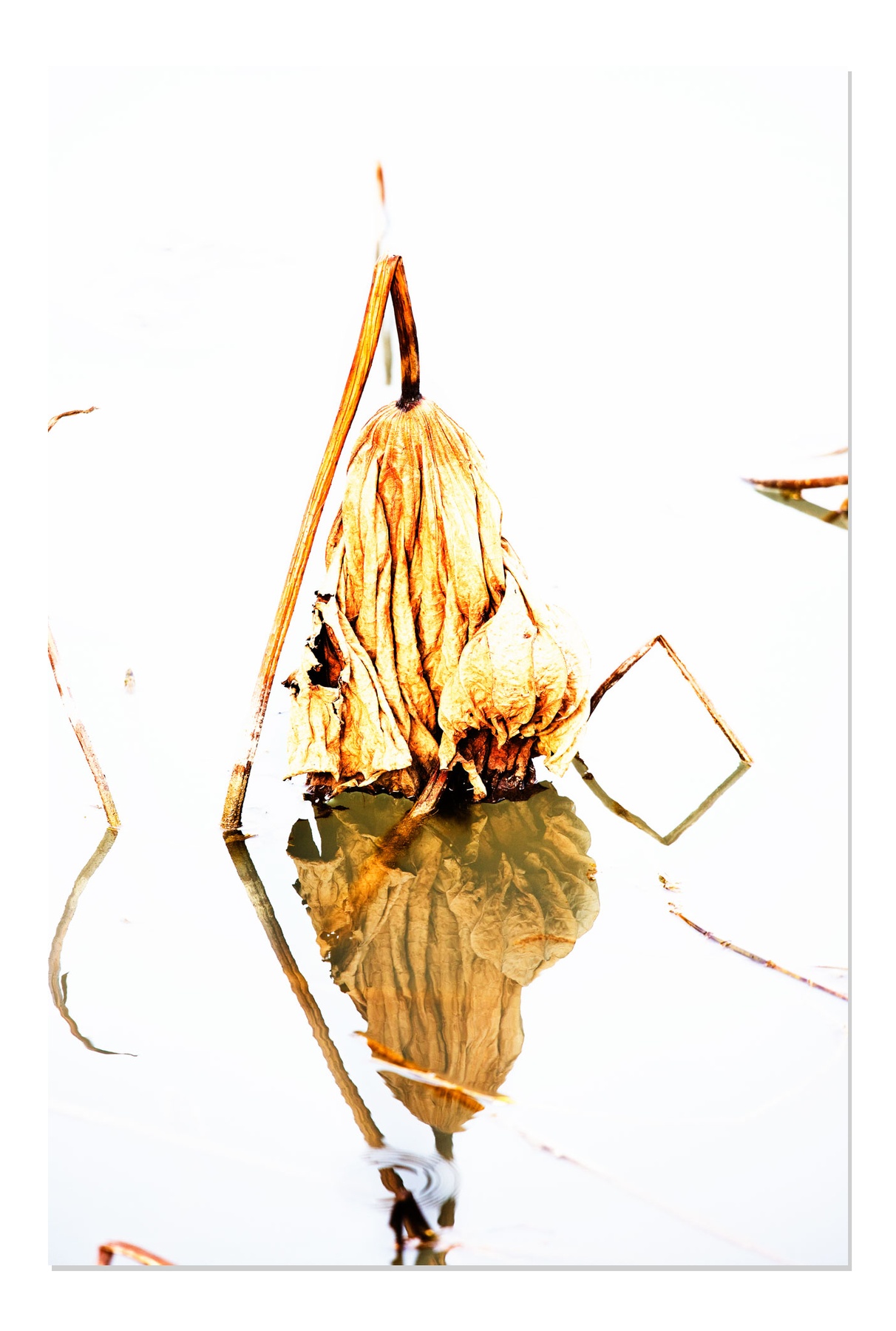 Riflesso_bianco_ombra_web