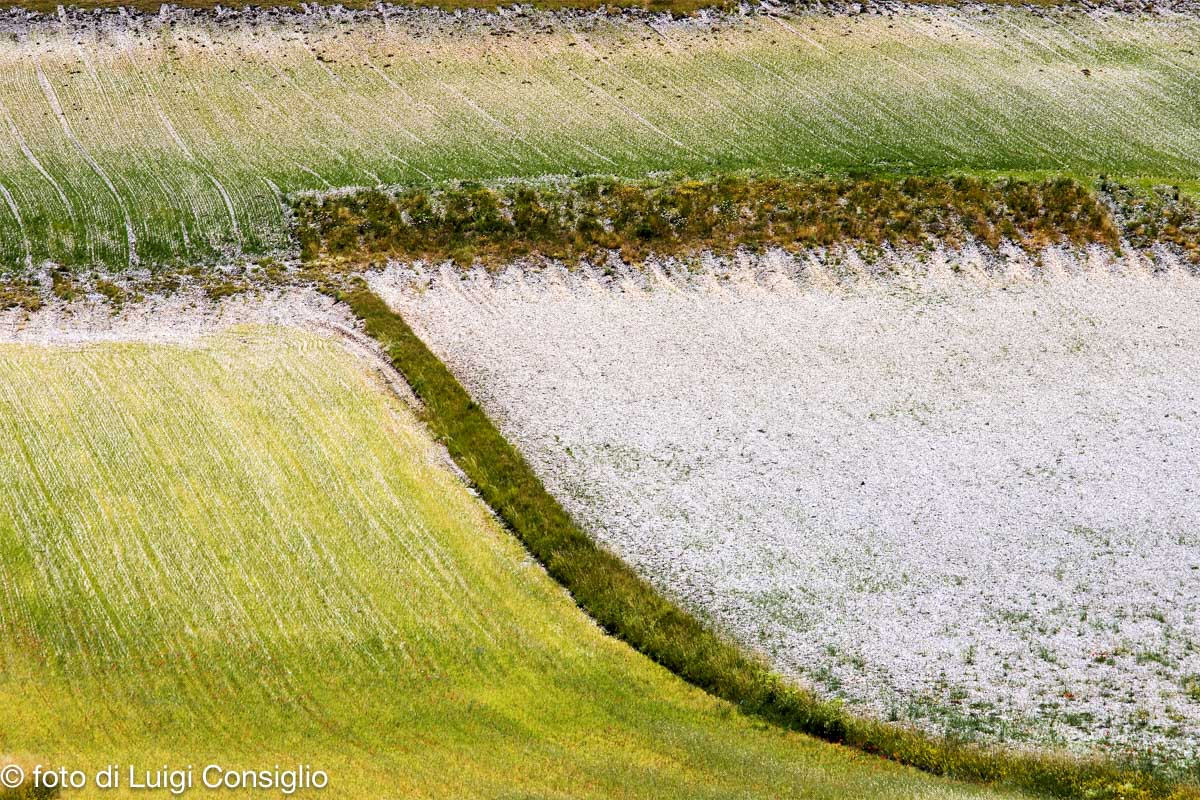 castelluccio_MG_6811